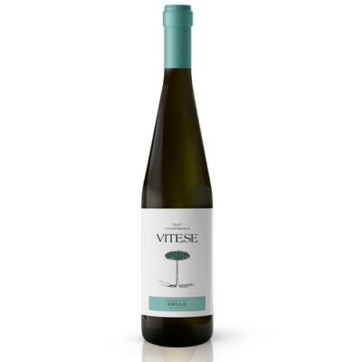 Colomba Bianca Vitese Grillo 2021